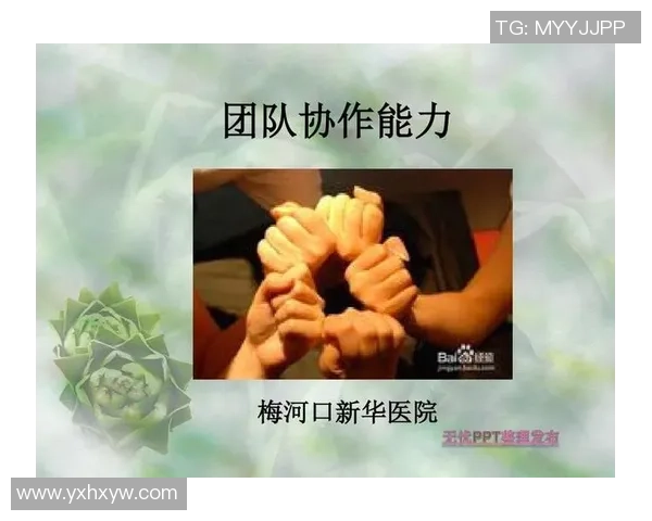 聚焦成都篮球队的团队协作与默契配合探讨