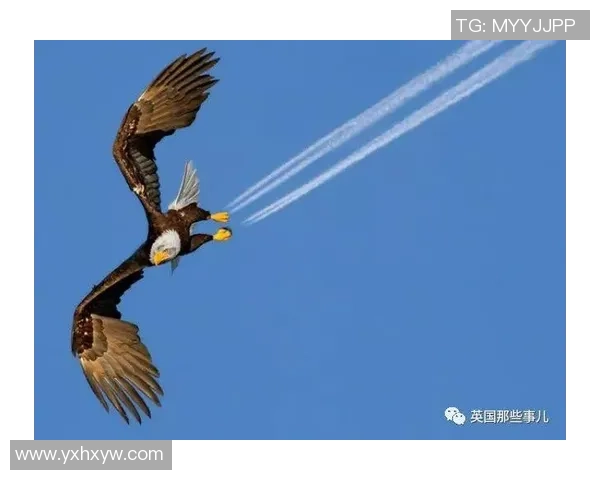 足球明星合照头像男士精选展示展现球场魅力与风采的完美瞬间 足球明星合照头像男士精选展示展现球场魅力与风采的完美瞬间