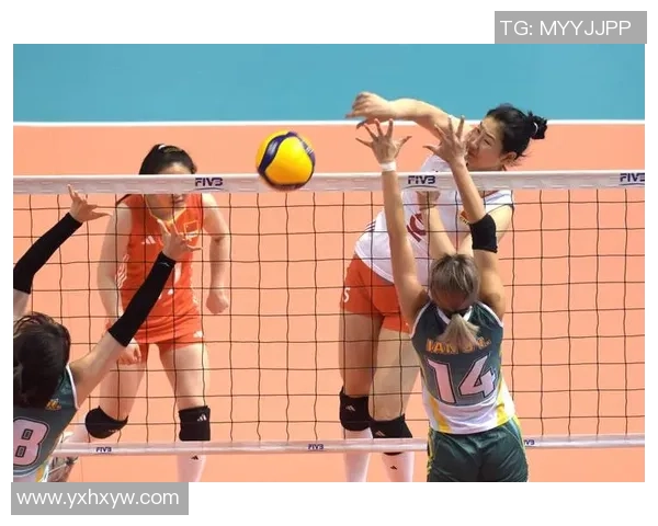 排球纪实：记录南京排球队的逆袭之旅