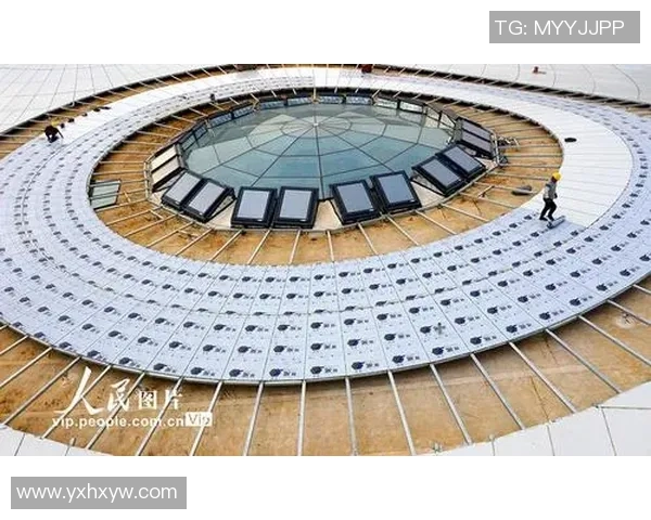 独家分析：南京极限运动队的灵活性对比